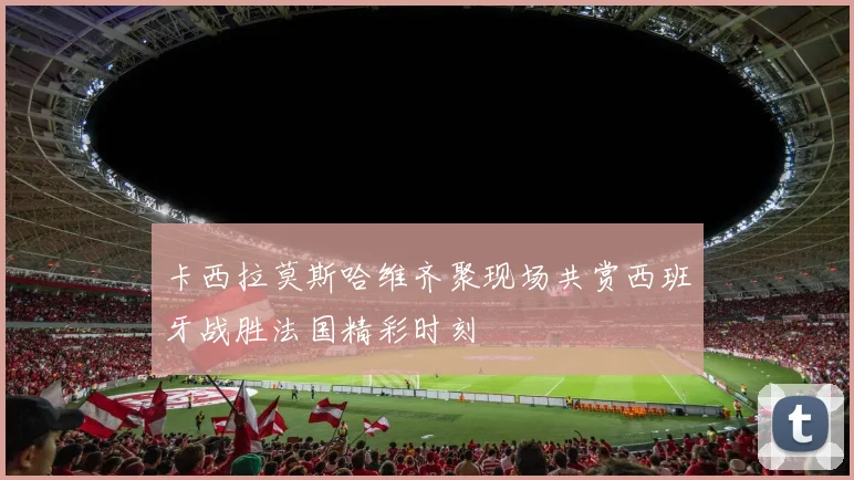 卡西拉莫斯哈维齐聚现场共赏西班牙战胜法国精彩时刻